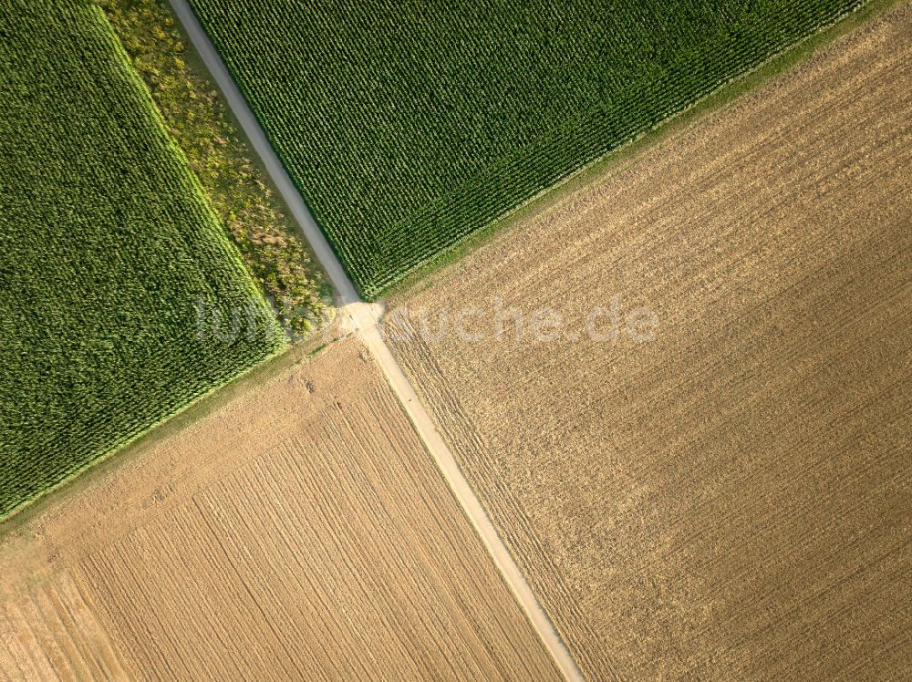 Luftbild Kornwestheim - Strukturen auf landwirtschaftlichen Feldern in Kornwestheim im Bundesland Baden-Württemberg, Deutschland