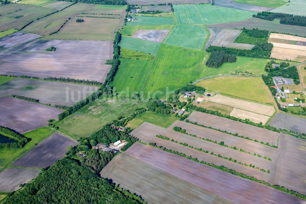 Ladelund aus der Vogelperspektive: Strukturen auf landwirtschaftlichen Feldern in Ladelund im Bundesland Schleswig-Holstein, Deutschland