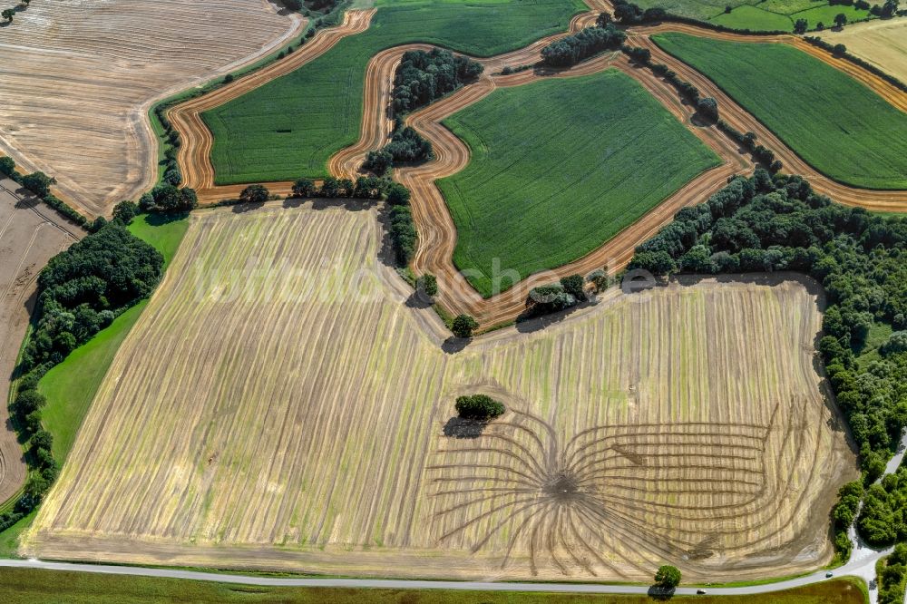 Merkendorf aus der Vogelperspektive: Strukturen auf landwirtschaftlichen Feldern in Merkendorf im Bundesland Schleswig-Holstein, Deutschland