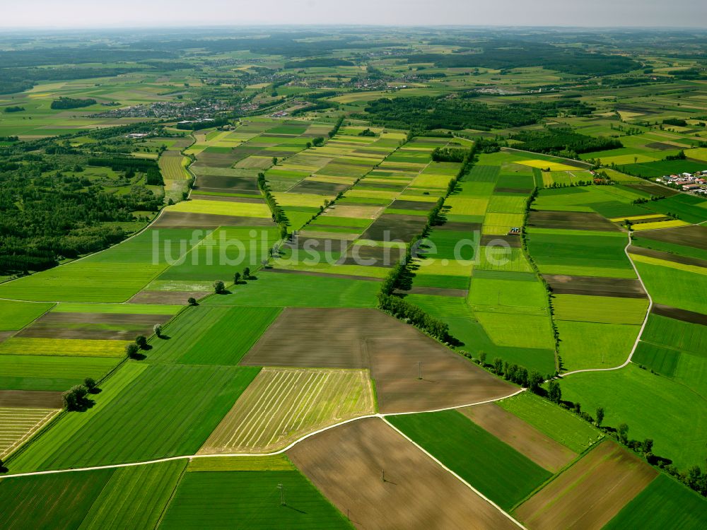 Luftaufnahme Mietingen - Strukturen auf landwirtschaftlichen Feldern in Mietingen im Bundesland Baden-Württemberg, Deutschland