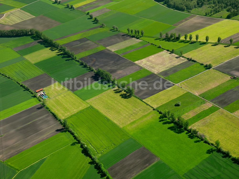 Mietingen von oben - Strukturen auf landwirtschaftlichen Feldern in Mietingen im Bundesland Baden-Württemberg, Deutschland