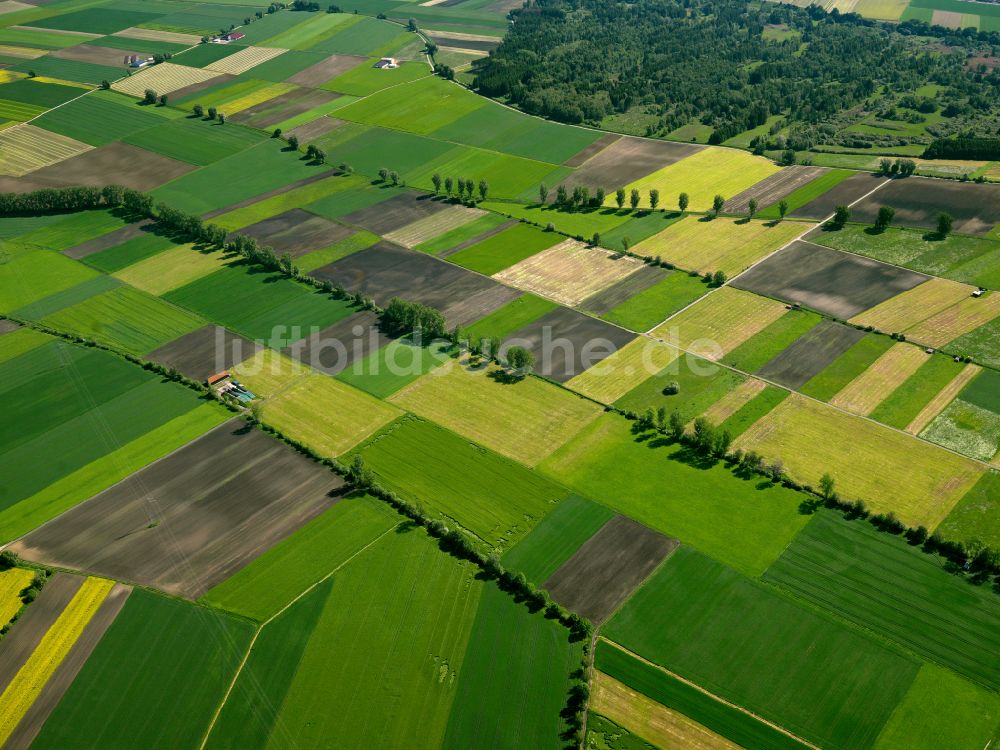 Mietingen aus der Vogelperspektive: Strukturen auf landwirtschaftlichen Feldern in Mietingen im Bundesland Baden-Württemberg, Deutschland