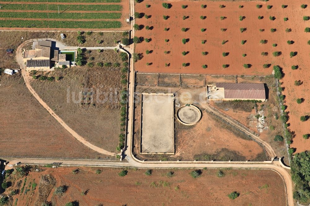 Inca von oben - Strukturen auf landwirtschaftlichen Feldern nach der Ernte auf Mallorca bei Inca auf der balearischen Mittelmeerinsel Mallorca, Spanien