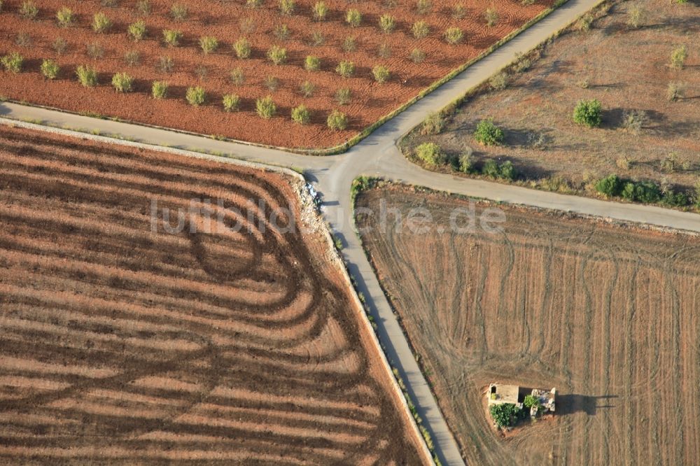 Inca aus der Vogelperspektive: Strukturen auf landwirtschaftlichen Feldern nach der Ernte auf Mallorca bei Inca auf der balearischen Mittelmeerinsel Mallorca, Spanien