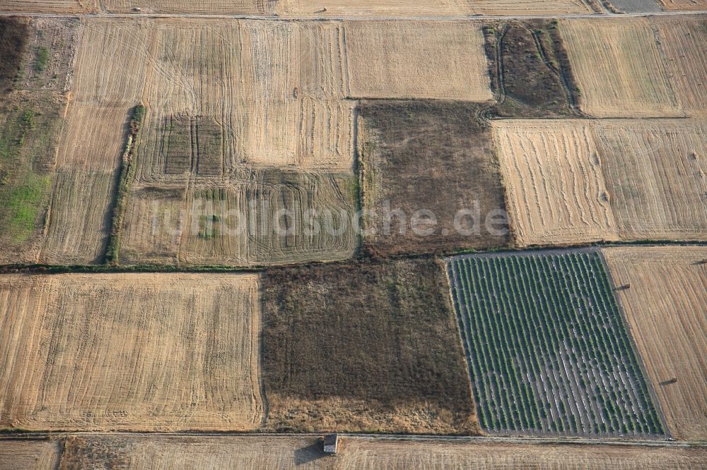 Luftaufnahme Manacor - Strukturen auf landwirtschaftlichen Feldern nach der Ernte auf Mallorca bei Manacor auf der balearischen Mittelmeerinsel Mallorca, Spanien