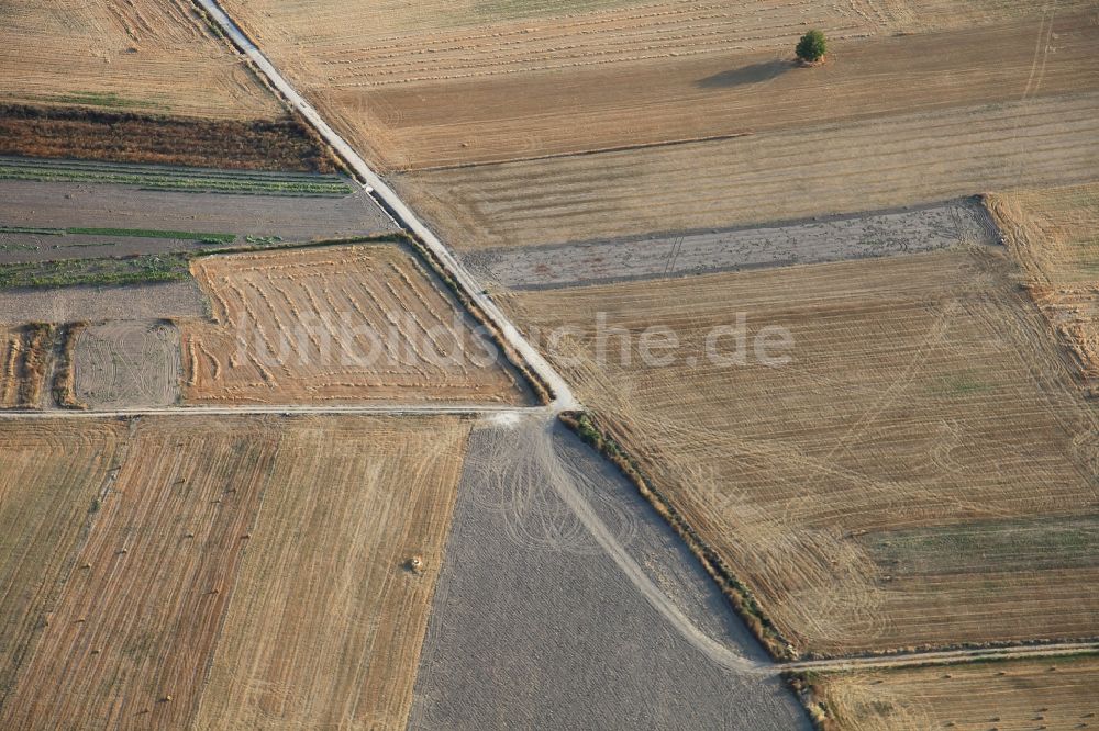 Luftbild Manacor - Strukturen auf landwirtschaftlichen Feldern nach der Ernte auf Mallorca bei Manacor auf der balearischen Mittelmeerinsel Mallorca, Spanien