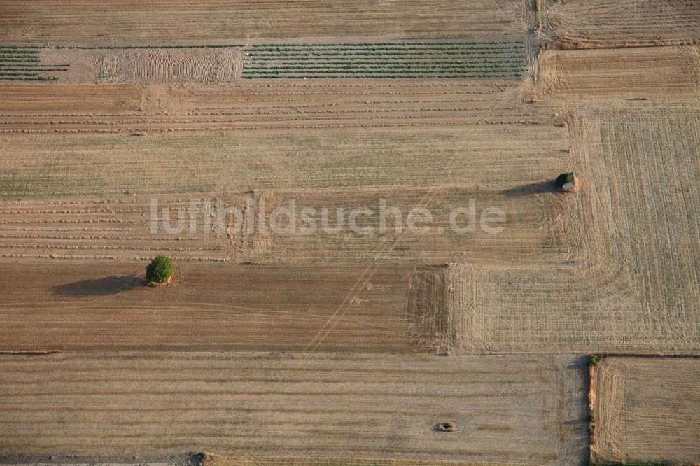 Luftaufnahme Manacor - Strukturen auf landwirtschaftlichen Feldern nach der Ernte auf Mallorca bei Manacor auf der balearischen Mittelmeerinsel Mallorca, Spanien