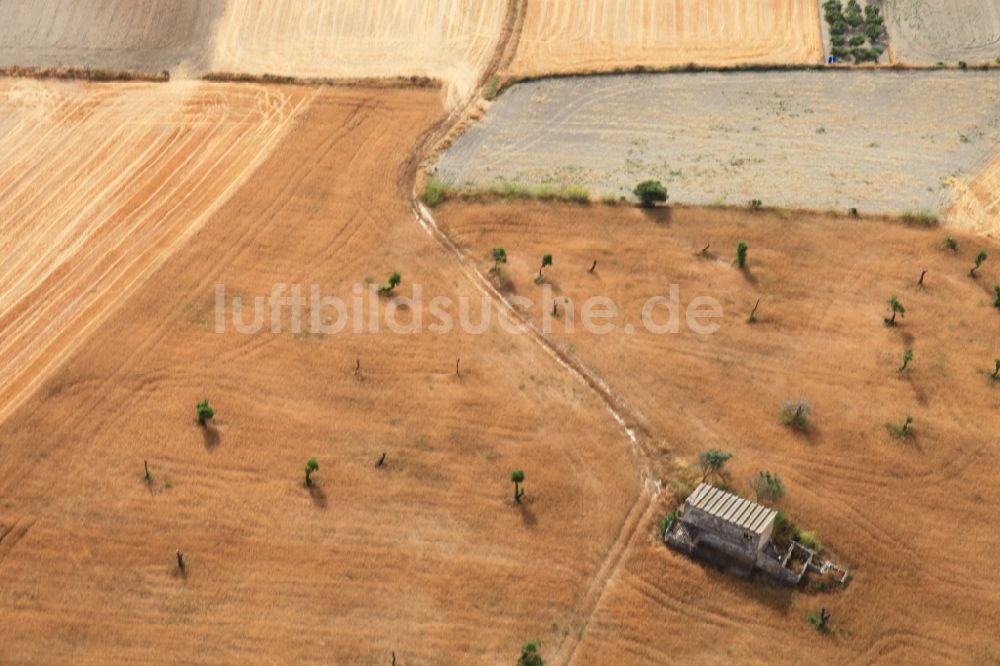 Manacor aus der Vogelperspektive: Strukturen auf landwirtschaftlichen Feldern nach der Ernte auf Mallorca bei Manacor auf der balearischen Mittelmeerinsel Mallorca, Spanien