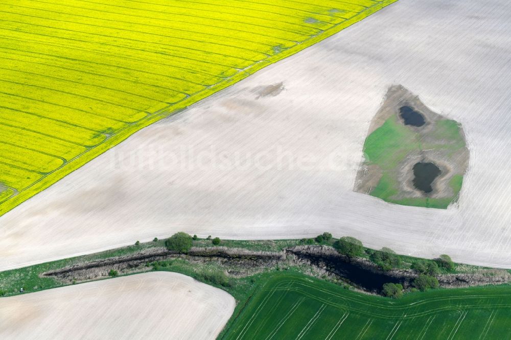 Luftbild Walchow - Strukturen auf landwirtschaftlichen Feldern nach dem Umpflügen in Walchow im Bundesland Brandenburg, Deutschland