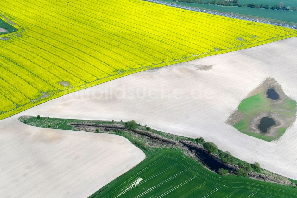 Luftaufnahme Walchow - Strukturen auf landwirtschaftlichen Feldern nach dem Umpflügen in Walchow im Bundesland Brandenburg, Deutschland