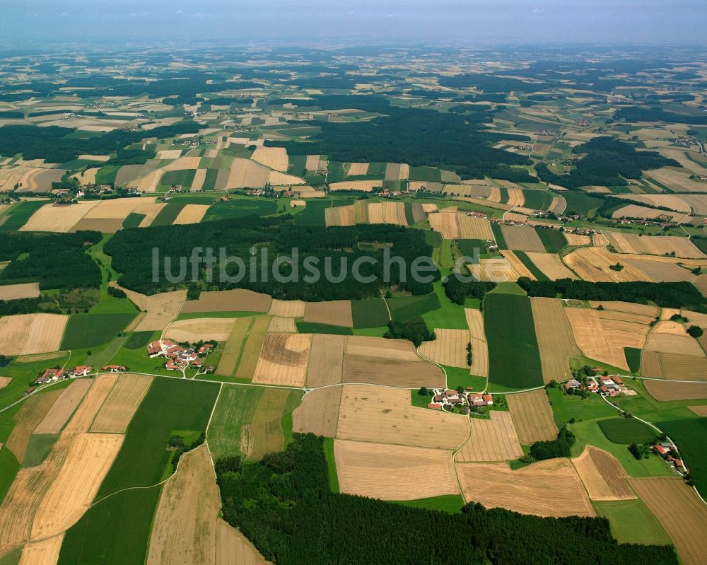 Oberalmsham aus der Vogelperspektive: Strukturen auf landwirtschaftlichen Feldern in Oberalmsham im Bundesland Bayern, Deutschland