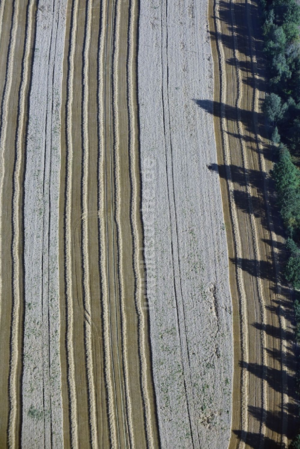 Luftaufnahme Oberdorf - Strukturen auf landwirtschaftlichen Feldern in Oberdorf im Bundesland Sachsen