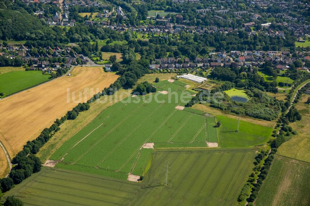 Oberhausen von oben - Strukturen auf landwirtschaftlichen Feldern in Oberhausen im Bundesland Nordrhein-Westfalen