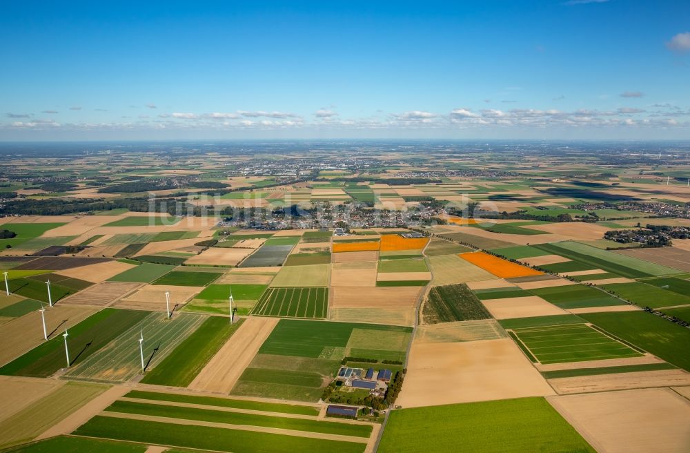 Erkelenz aus der Vogelperspektive: Strukturen auf landwirtschaftlichen Feldern im Ortsteil Bellinghoven in Erkelenz im Bundesland Nordrhein-Westfalen