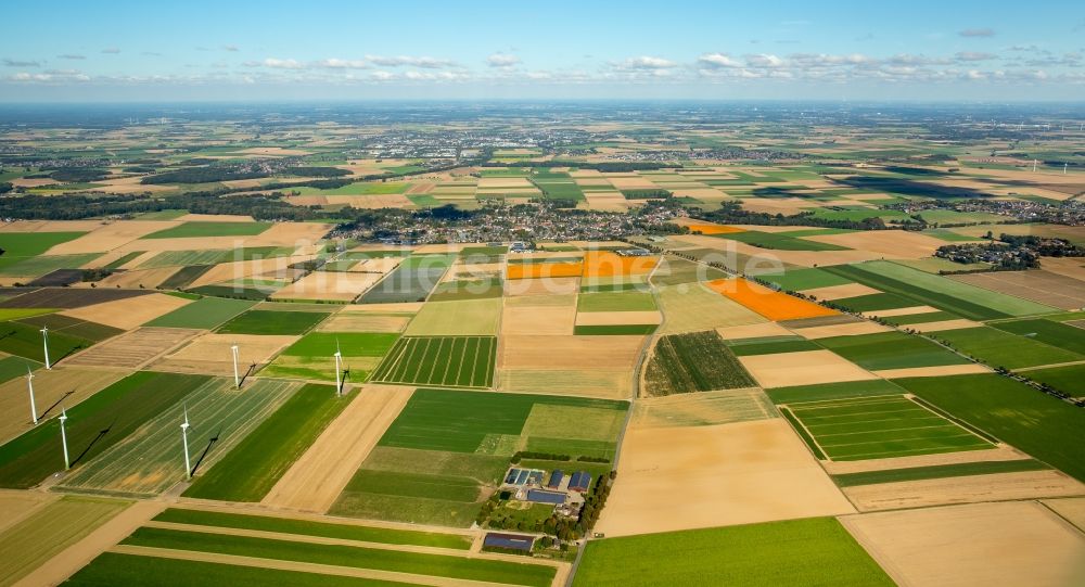 Luftbild Erkelenz - Strukturen auf landwirtschaftlichen Feldern im Ortsteil Bellinghoven in Erkelenz im Bundesland Nordrhein-Westfalen