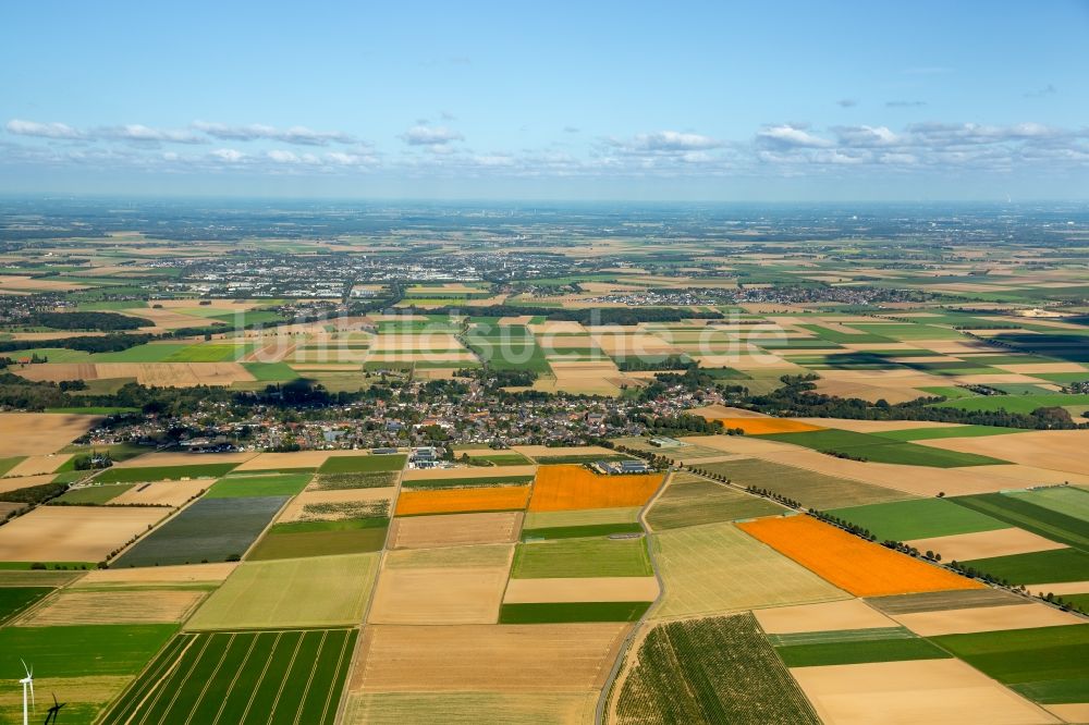 Luftaufnahme Erkelenz - Strukturen auf landwirtschaftlichen Feldern im Ortsteil Bellinghoven in Erkelenz im Bundesland Nordrhein-Westfalen