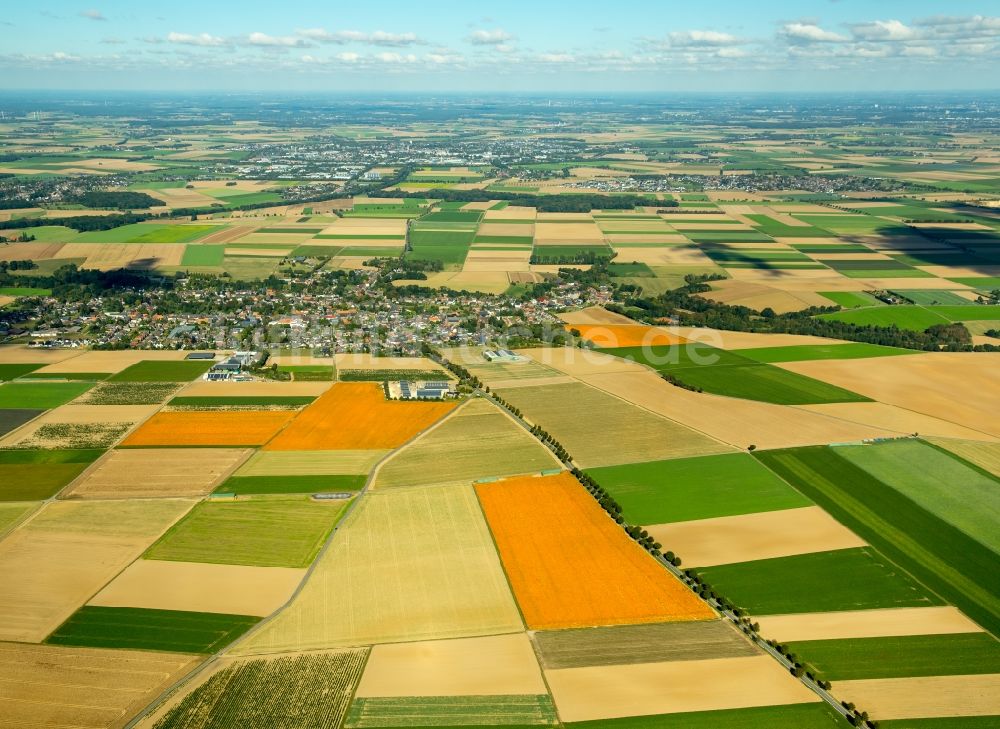 Luftbild Erkelenz - Strukturen auf landwirtschaftlichen Feldern im Ortsteil Bellinghoven in Erkelenz im Bundesland Nordrhein-Westfalen