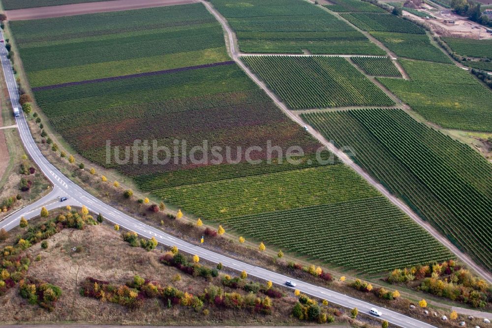 Flomborn aus der Vogelperspektive: Strukturen auf landwirtschaftlichen Feldern an der L386 im Ortsteil Ober-Flörsheim in Flomborn im Bundesland Rheinland-Pfalz