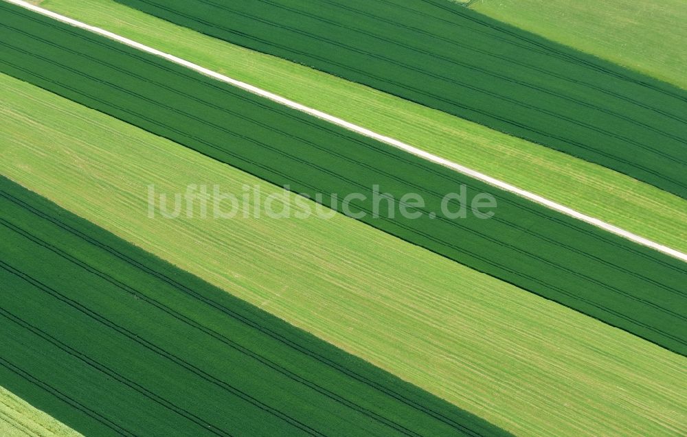 Bodenkirchen aus der Vogelperspektive: Strukturen auf landwirtschaftlichen Feldern im Ortsteil Westenthann in Bodenkirchen im Bundesland Bayern, Deutschland