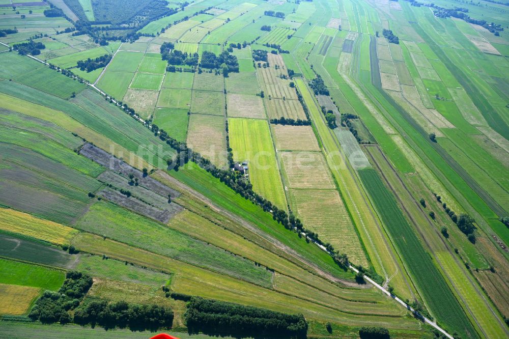 Ovelgönne von oben - Strukturen auf landwirtschaftlichen Feldern in Ovelgönne im Bundesland Niedersachsen, Deutschland