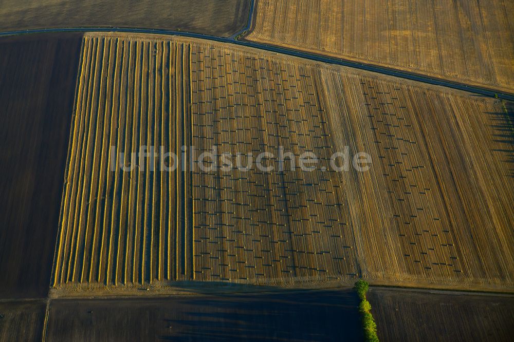 Querfurt aus der Vogelperspektive: Strukturen auf landwirtschaftlichen Feldern in Querfurt im Bundesland Sachsen-Anhalt, Deutschland