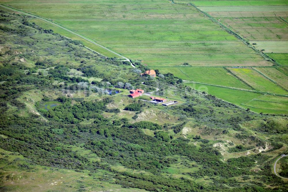 Luftaufnahme Borkum - Strukturen auf landwirtschaftlichen Feldern am Rande einer Heide - Landschaft in Borkum im Bundesland Niedersachsen