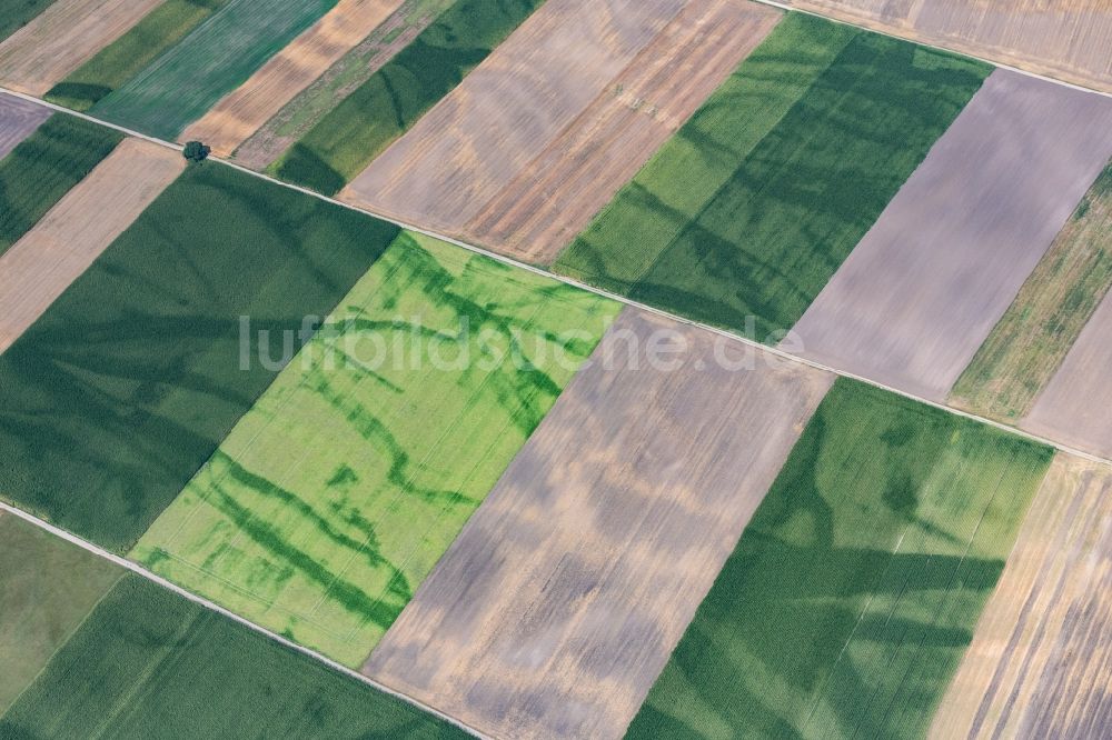 Rehling von oben - Strukturen auf landwirtschaftlichen Feldern in Rehling im Bundesland Bayern, Deutschland