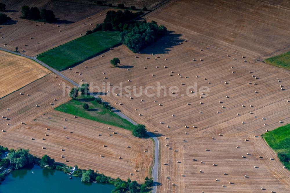 Luftaufnahme Rheinhausen - Strukturen auf landwirtschaftlichen Feldern in Rheinhausen im Bundesland Baden-Württemberg, Deutschland