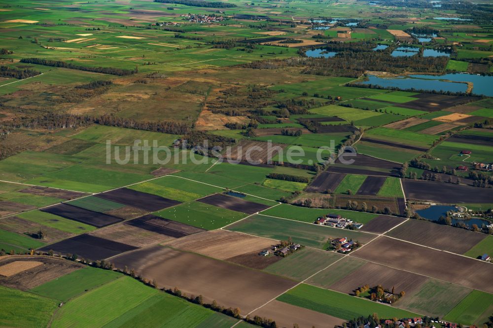 Luftaufnahme Riedheim - Strukturen auf landwirtschaftlichen Feldern in Riedheim im Bundesland Bayern, Deutschland