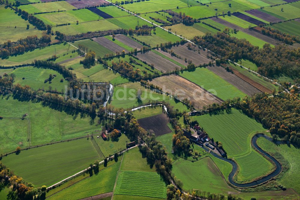 Riedhöfe von oben - Strukturen auf landwirtschaftlichen Feldern in Riedhöfe im Bundesland Baden-Württemberg, Deutschland