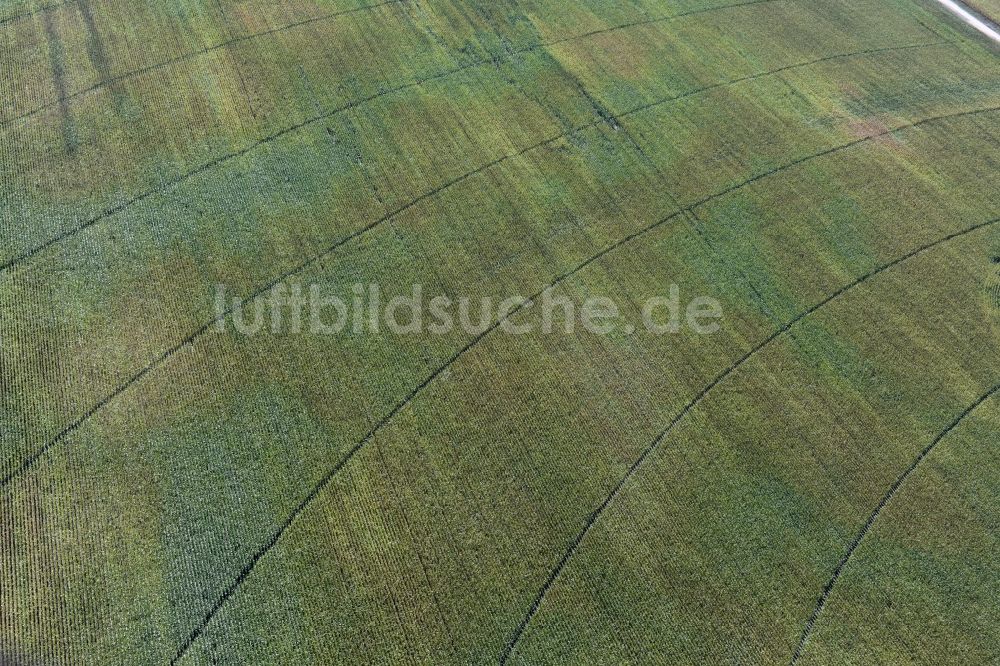 Parmen von oben - Strukturen auf landwirtschaftlichen Feldern einer Ring- Bewässerungs- Anlage in Parmen im Bundesland Brandenburg