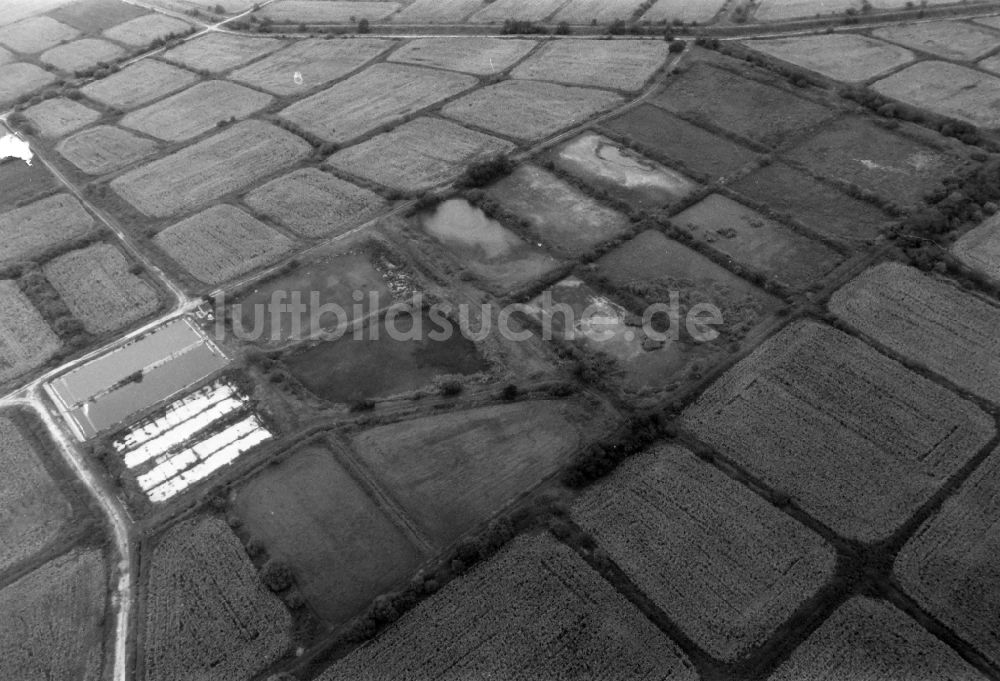 Luftaufnahme Rotberg - Strukturen auf landwirtschaftlichen Feldern in Rotberg im Bundesland Brandenburg, Deutschland