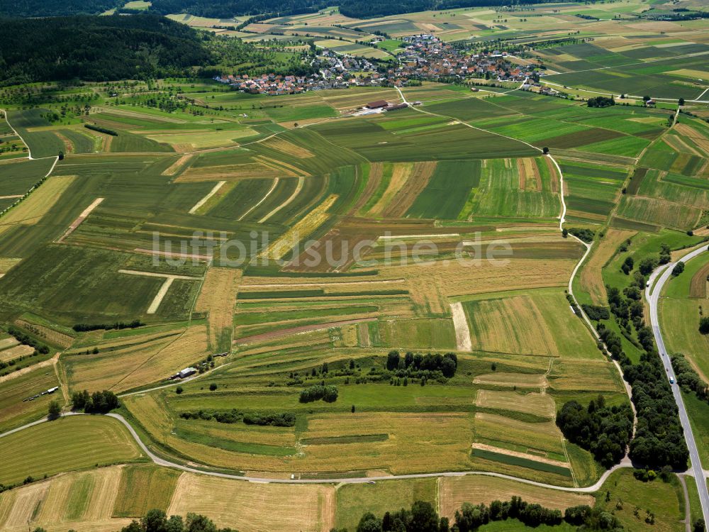 Luftbild Rottenburg am Neckar - Strukturen auf landwirtschaftlichen Feldern in Rottenburg am Neckar im Bundesland Baden-Württemberg, Deutschland