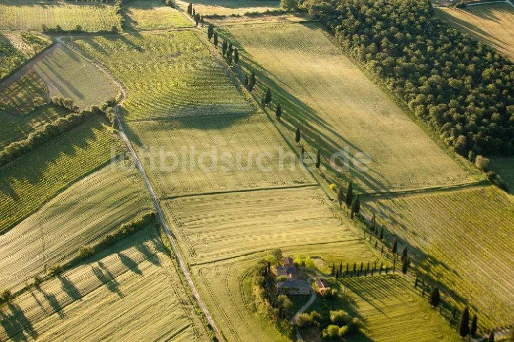 Il Pianello aus der Vogelperspektive: Strukturen auf landwirtschaftlichen Feldern mit schattenwerfender Zypressenallee in Il Pianello in Toscana, Italien