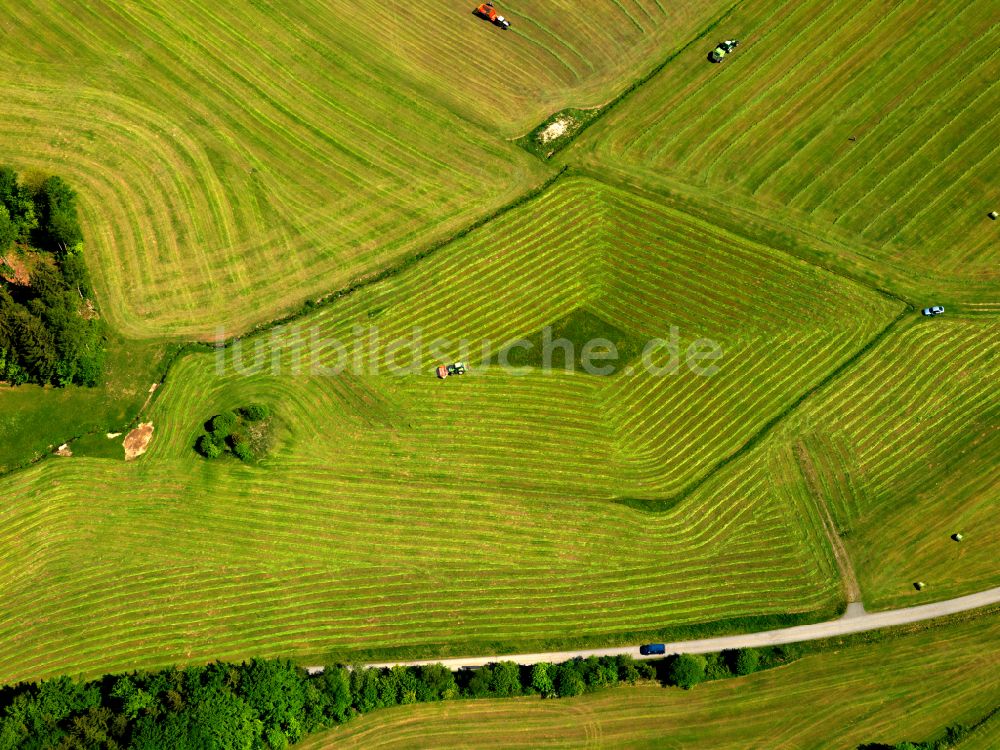 Luftaufnahme Schönanger - Strukturen auf landwirtschaftlichen Feldern in Schönanger im Bundesland Bayern, Deutschland