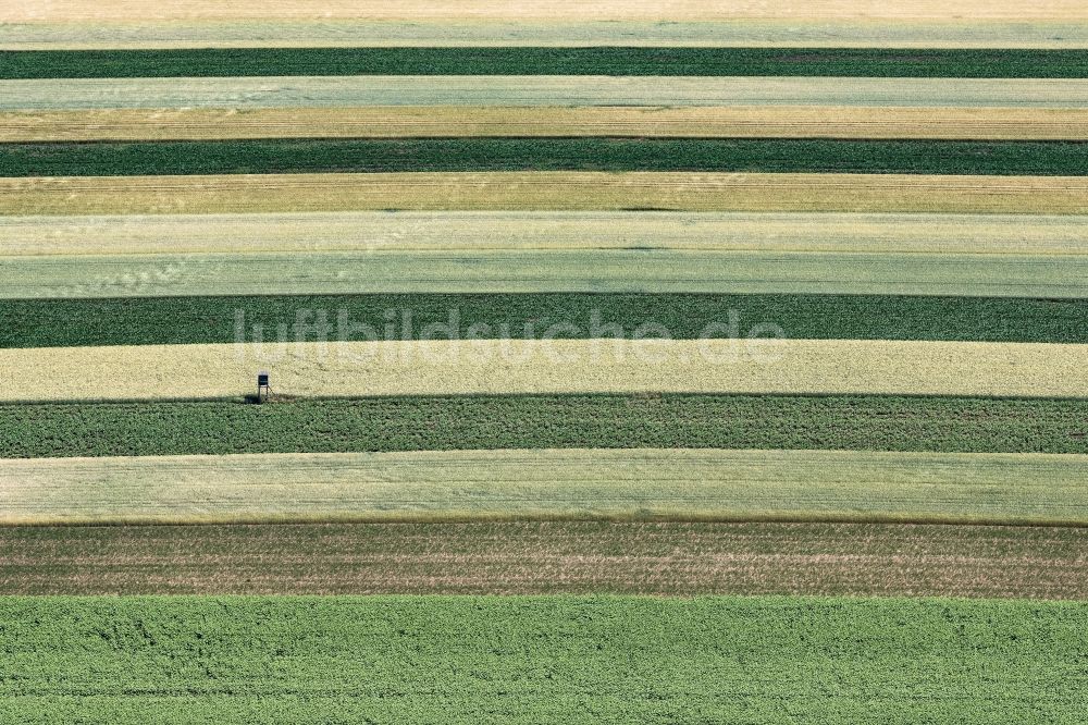 Schwechat aus der Vogelperspektive: Strukturen auf landwirtschaftlichen Feldern in Schwechat in Niederösterreich, Österreich