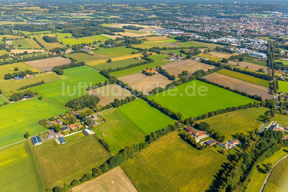 Sudhagen aus der Vogelperspektive: Strukturen auf landwirtschaftlichen Feldern in Sudhagen im Bundesland Nordrhein-Westfalen, Deutschland