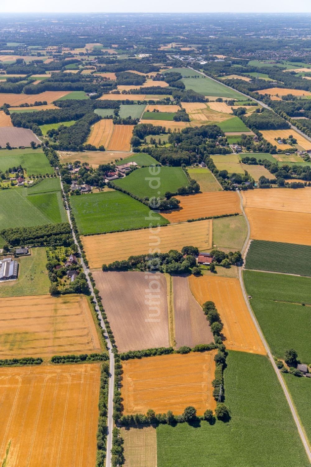 Luftaufnahme Telgte - Strukturen auf landwirtschaftlichen Feldern in Telgte im Bundesland Nordrhein-Westfalen, Deutschland