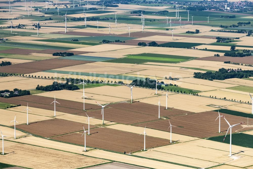 Tiebensee aus der Vogelperspektive: Strukturen auf landwirtschaftlichen Feldern in Tiebensee im Bundesland Schleswig-Holstein, Deutschland