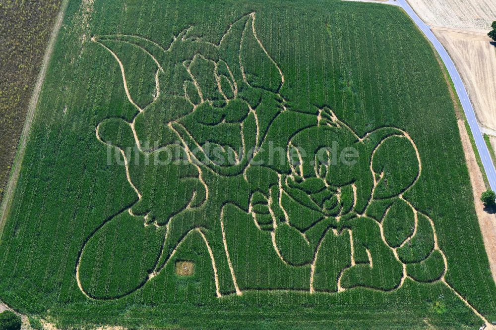 Luftbild Kraichtal - Strukturen auf landwirtschaftlichen Feldern mit Umrissen von Tom & Jerry in Kraichtal im Bundesland Baden-Württemberg, Deutschland