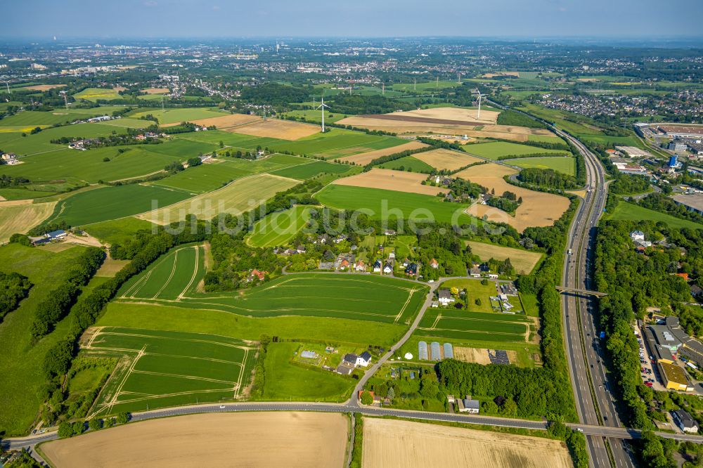 Luftbild Vöckenberg - Strukturen auf landwirtschaftlichen Feldern in Vöckenberg im Bundesland Nordrhein-Westfalen, Deutschland