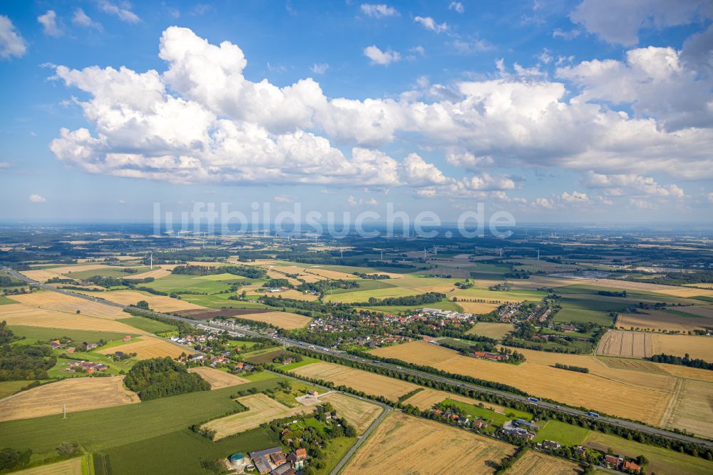 Luftaufnahme Vellern - Strukturen auf landwirtschaftlichen Feldern in Vellern im Bundesland Nordrhein-Westfalen, Deutschland