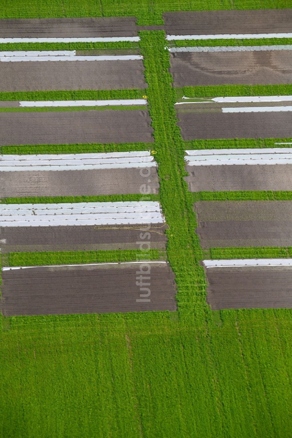 Luftbild Nauen - Strukturen auf landwirtschaftlichen Feldern einer Versuchsanlage in Nauen im Bundesland Brandenburg, Deutschland