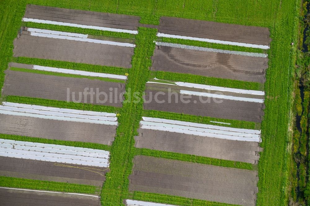 Nauen von oben - Strukturen auf landwirtschaftlichen Feldern einer Versuchsanlage in Nauen im Bundesland Brandenburg, Deutschland