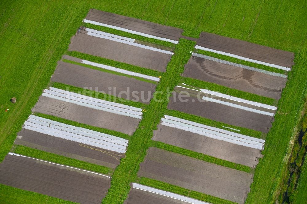 Nauen aus der Vogelperspektive: Strukturen auf landwirtschaftlichen Feldern einer Versuchsanlage in Nauen im Bundesland Brandenburg, Deutschland