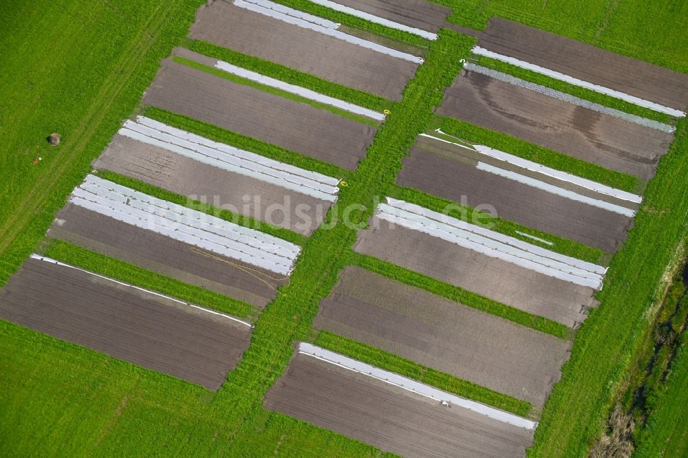 Luftbild Nauen - Strukturen auf landwirtschaftlichen Feldern einer Versuchsanlage in Nauen im Bundesland Brandenburg, Deutschland