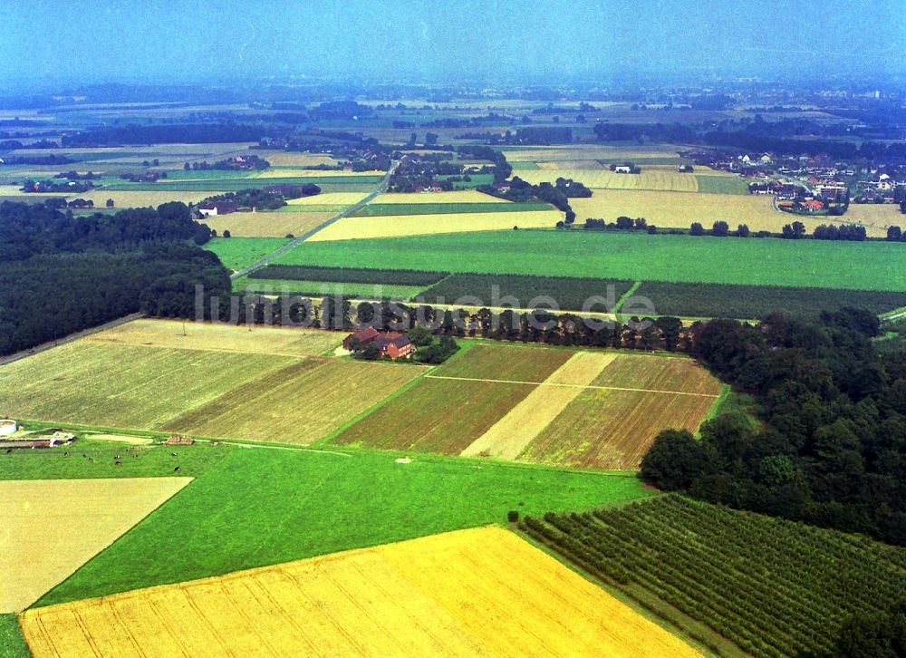 Neukirchen-Vluyn von oben - Strukturen auf landwirtschaftlichen Feldern Vluyner Busch in der Niederrheinische Landschaft in Neukirchen-Vluyn im Bundesland Nordrhein-Westfalen