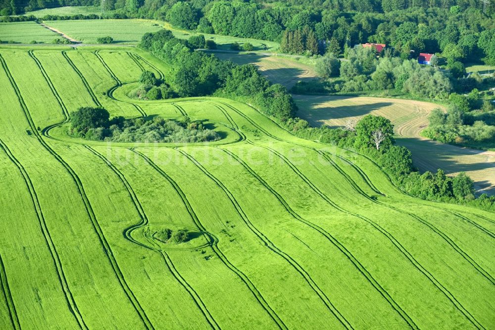 Luftbild Vollrathsruhe - Strukturen auf landwirtschaftlichen Feldern in Vollrathsruhe im Bundesland Mecklenburg-Vorpommern, Deutschland