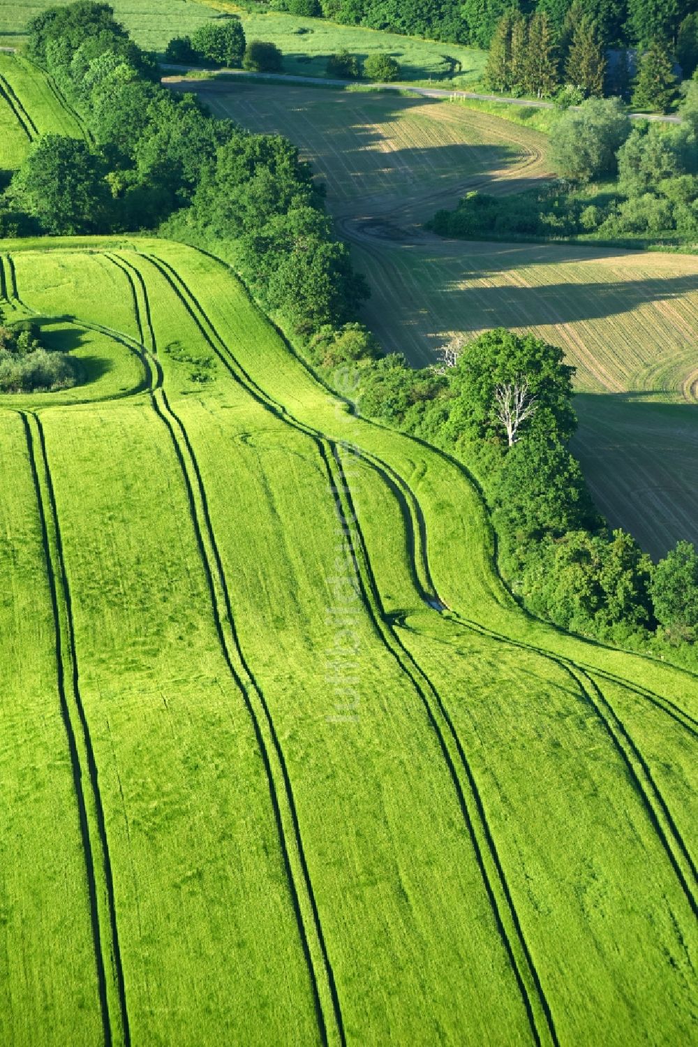 Luftaufnahme Vollrathsruhe - Strukturen auf landwirtschaftlichen Feldern in Vollrathsruhe im Bundesland Mecklenburg-Vorpommern, Deutschland