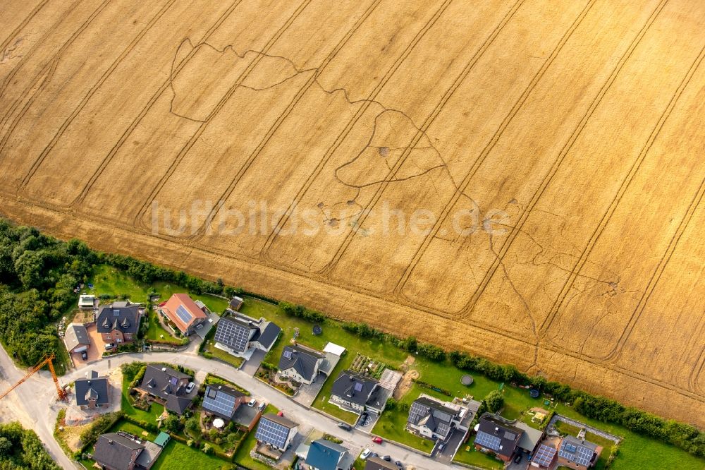 Luftbild Warstein - Strukturen auf landwirtschaftlichen Feldern in Warstein im Bundesland Nordrhein-Westfalen